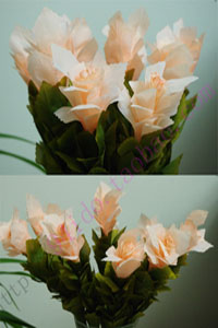 峰眉桔红心细节