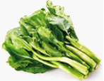 有机芥蓝 Chinese kale