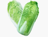 有机大白菜 Chinese cabbage